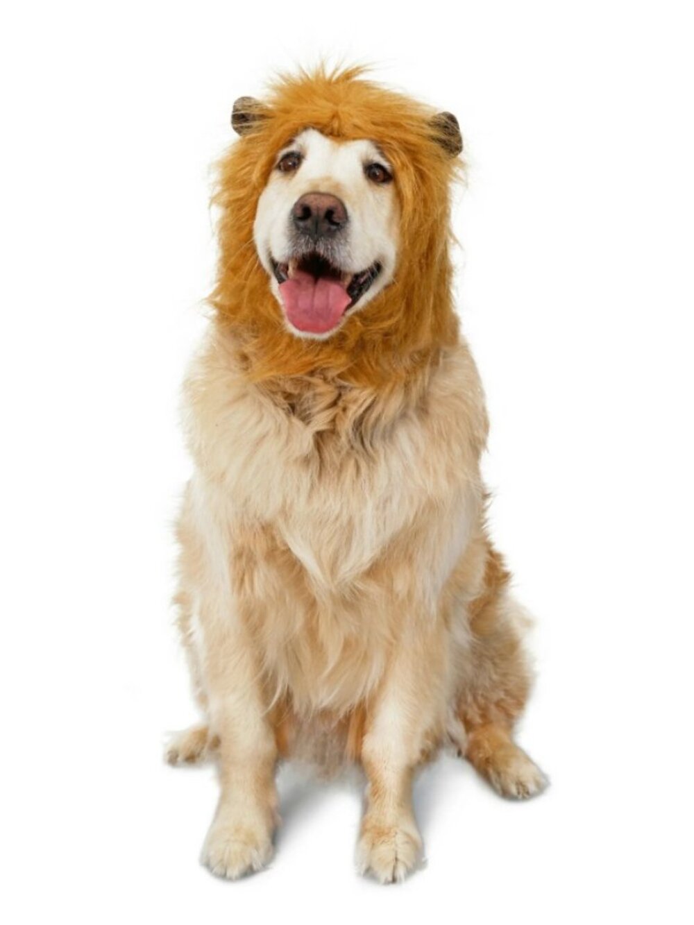 New Lion Mane Hat Dog Pet Halloween Costume Ears Size M/L Includes soft brown ea